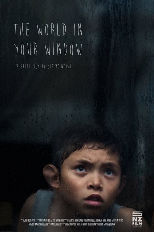 The World In Your Window (2017) poster