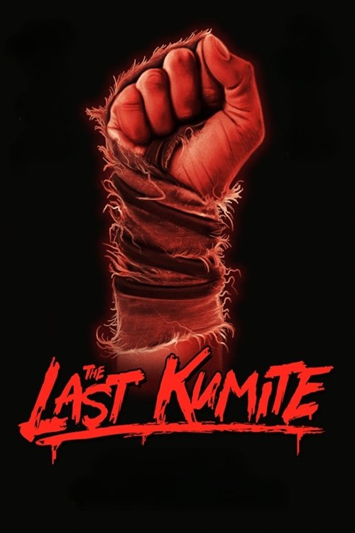 The Last Kumite (2024) poster