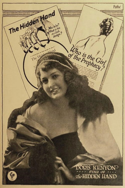 The Hidden Hand (1917) poster