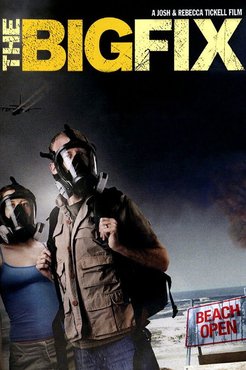 The Big Fix (2011) poster