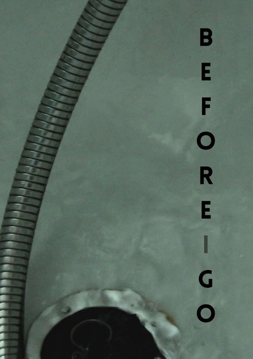 Antes de Irme (2023) poster