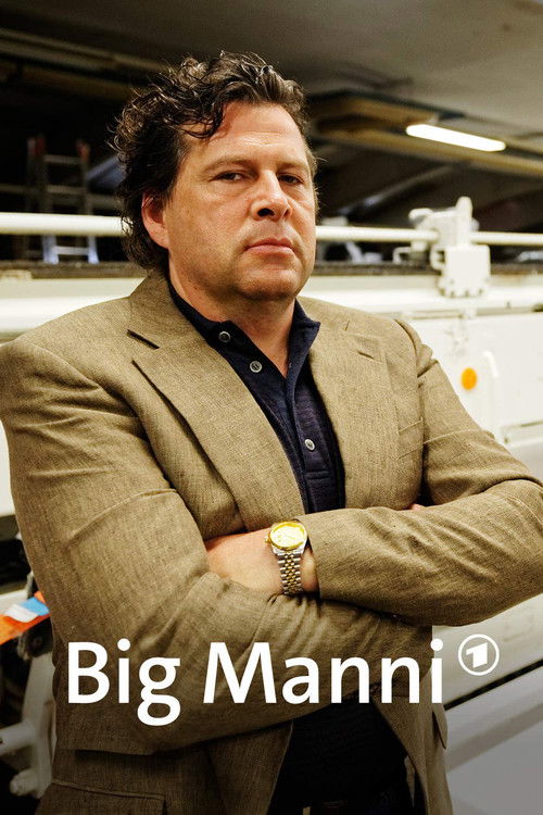Big Manni (2019) poster