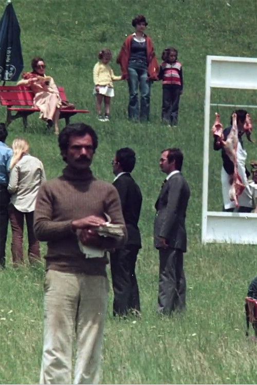 Short Film In Three Parts (1978) poster