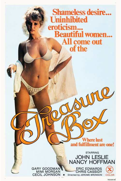 The Treasure Box (1979) poster
