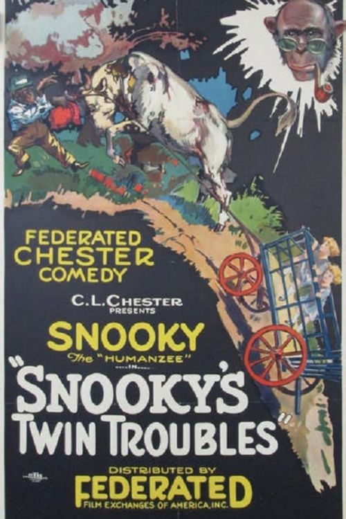Snooky's Twin Troubles (1921) poster