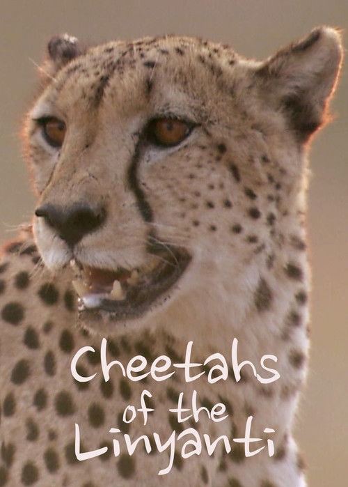 Cheetahs of the Linyanti (2022) poster