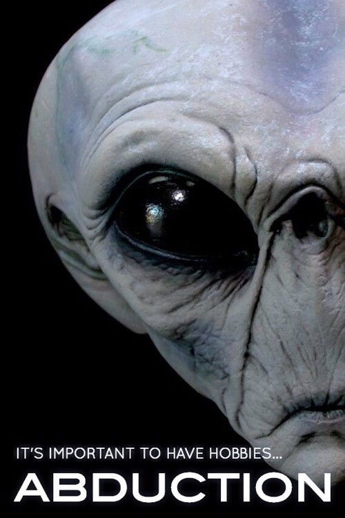 Abduction (2013) poster