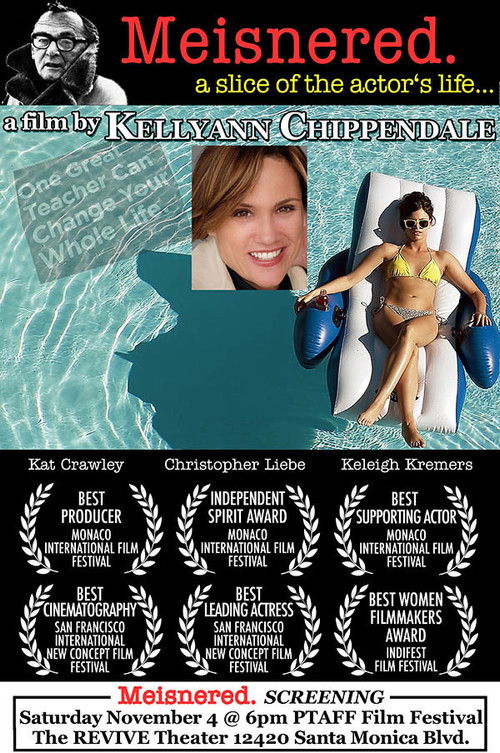 Getting Meisnered (2015) poster