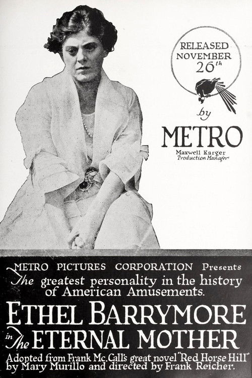 The Eternal Mother (1917) poster