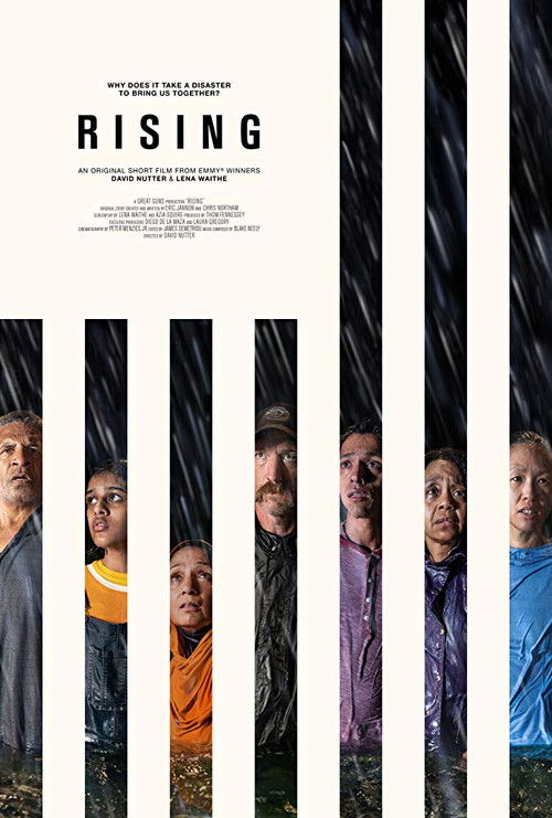 Rising (2018) poster