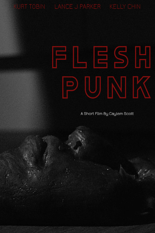 Fleshpunk poster