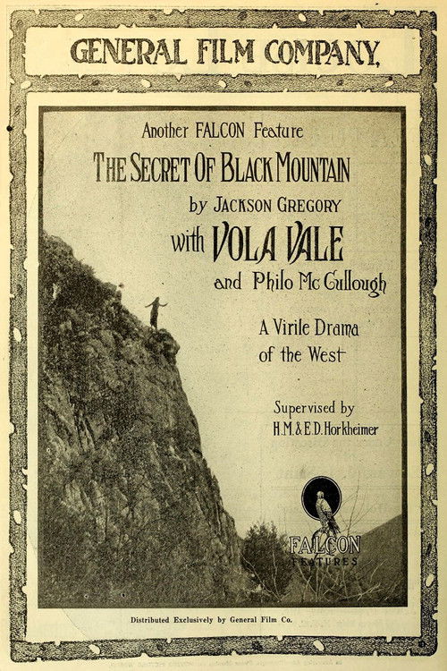 The Secret of Black Mountain (1917) poster