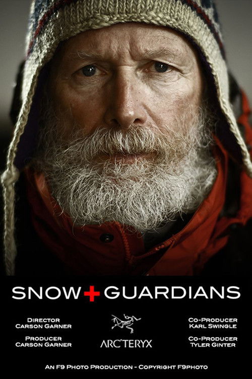 Snow Guardians (2012) poster