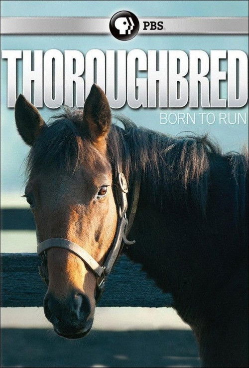 Thoroughbred: Born to Run (2011) poster