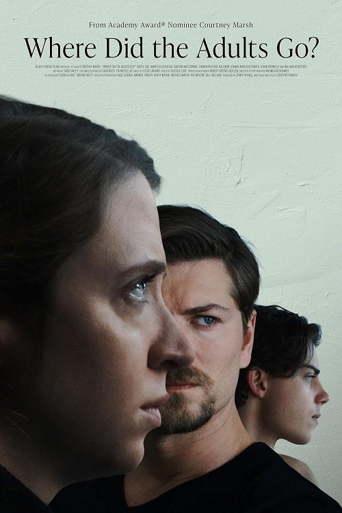 Where Did the Adults Go? (2025) poster