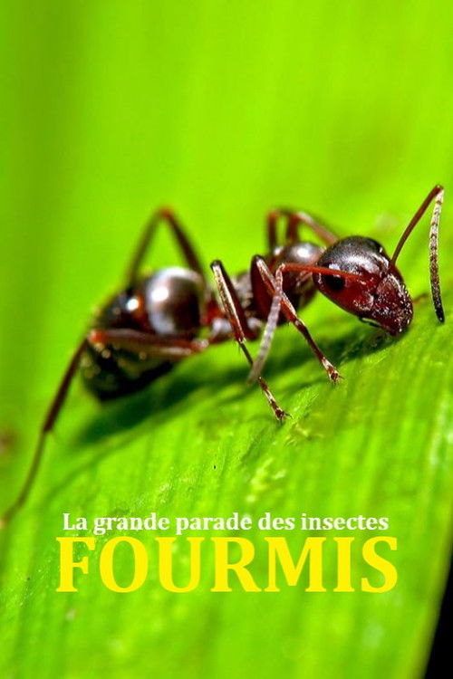 Fabulous Insects - Ants (2025) poster