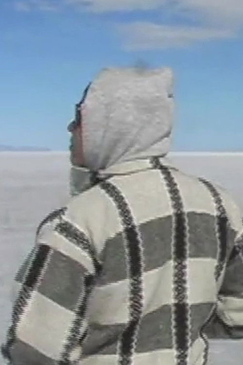 Have You Ever Seen A Transsexual Before? (2010) poster