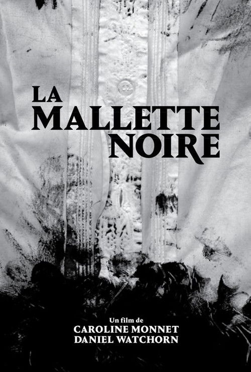 La mallette noire (2014) poster