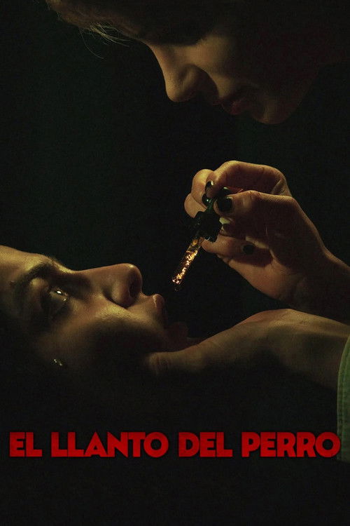 El llanto del perro (2025) poster