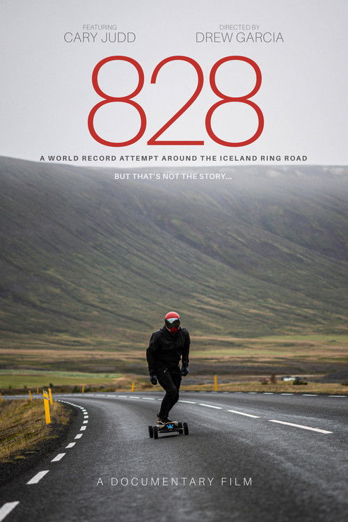828 (2023) poster