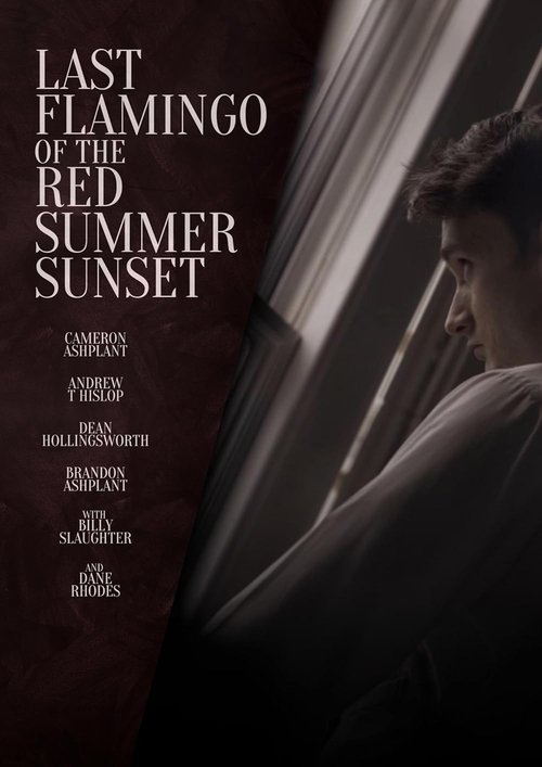 Last Flamingo of the Red Summer Sunset (2024) poster