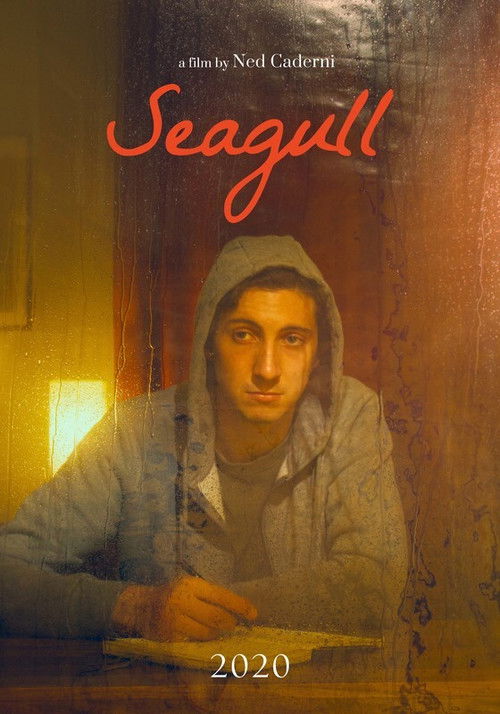Seagull (2020) poster