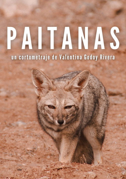 Paitanas poster