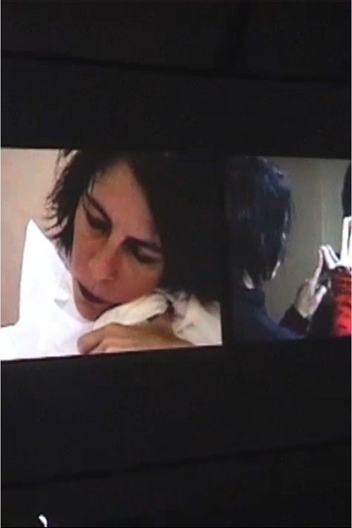 Installation for 9 Personalities in 1 Body (2004) poster