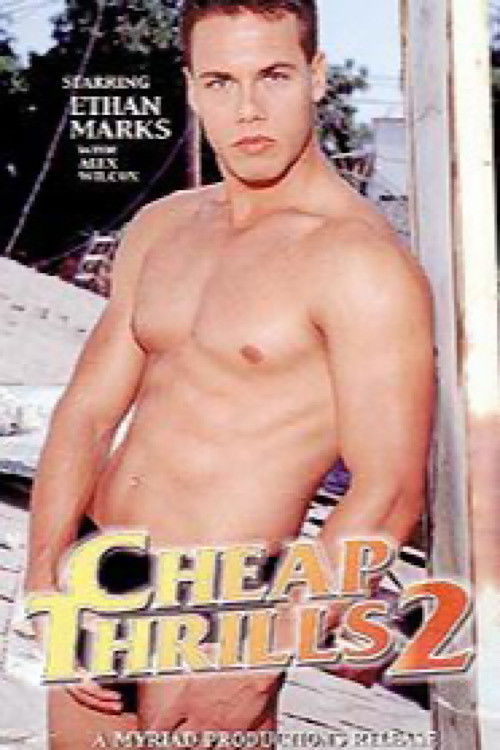 Cheap Thrills 2 (1999) poster