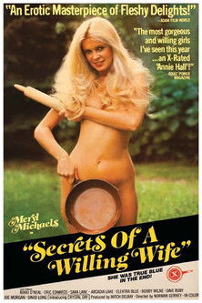 Secrets of a Willing Wife (1979) poster