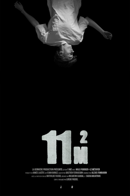 11m2 (2024) poster