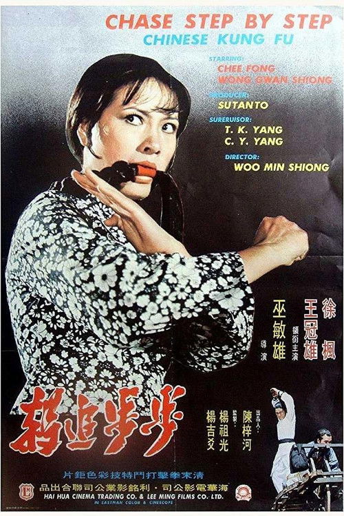 Bu bu zhui zong (1974) poster