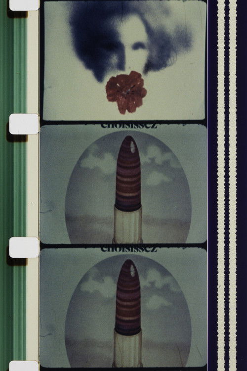 C'est Fou ! (1977) poster