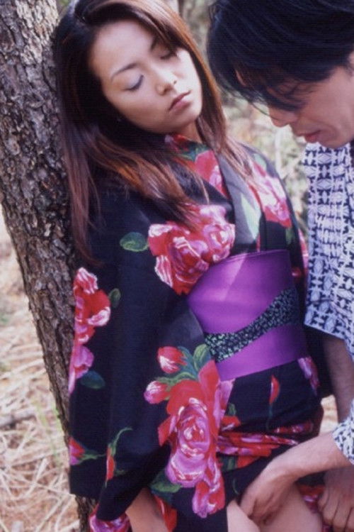 Shufu no Sei: Midara na Yagai Etchi (1999) poster