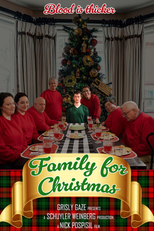 Family for Christmas (2024) poster