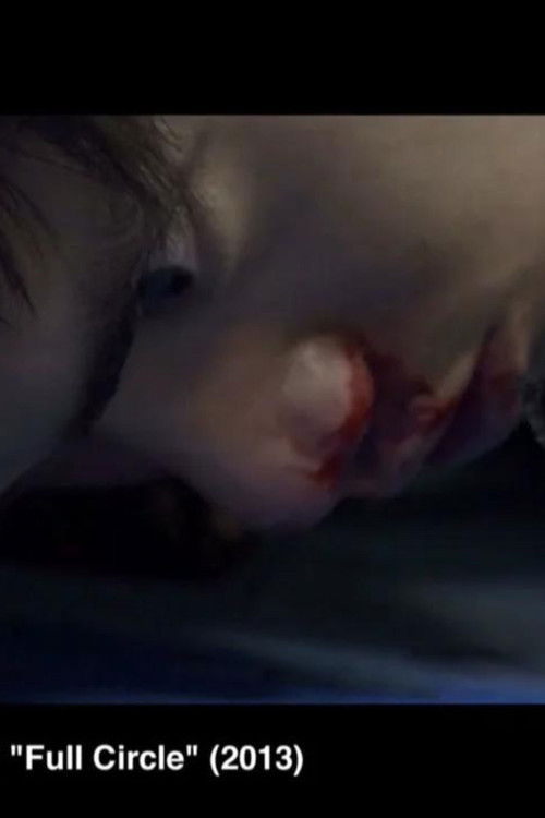 Full Circle (2013) poster