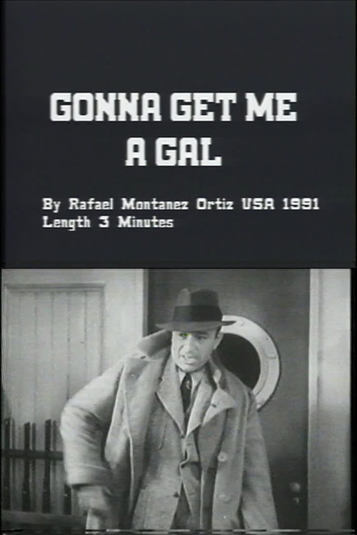Gonna Get Me a Gal (1991) poster