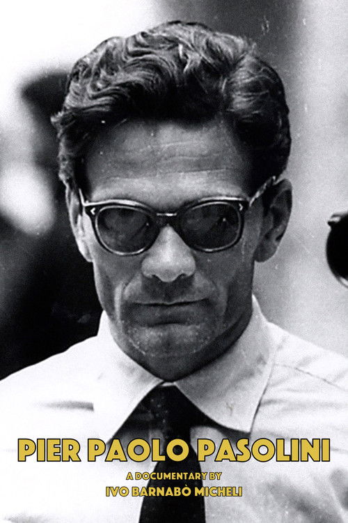 Pier Paolo Pasolini (1995) poster