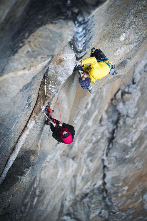 Magic Mushroom (2018) poster