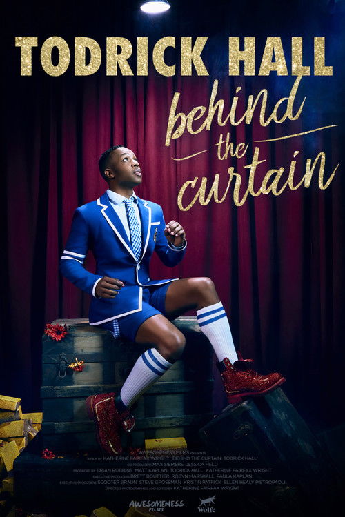 Behind the Curtain: Todrick Hall (2017) poster