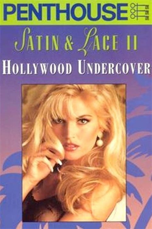 Penthouse Satin & Lace II: Hollywood Undercover (1993) poster
