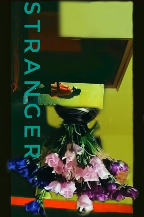 Stranger (2021) poster
