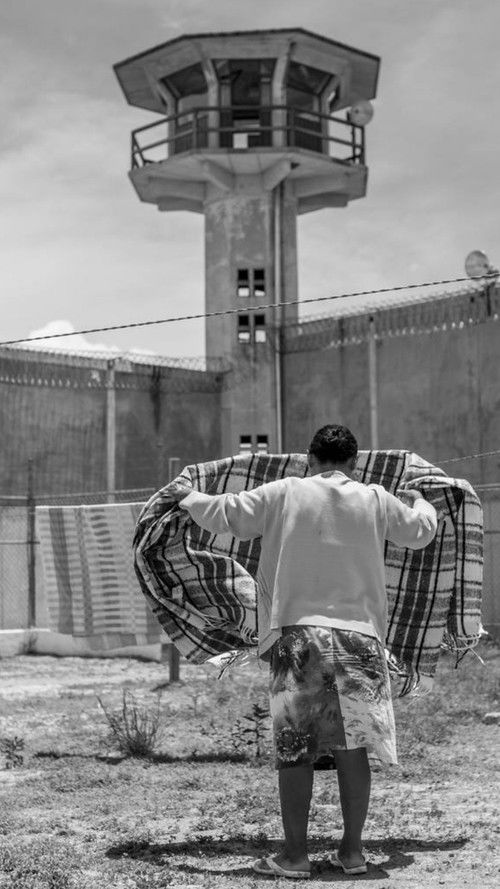 Las historias de mujeres en prisión por delitos de drogas (2017) poster