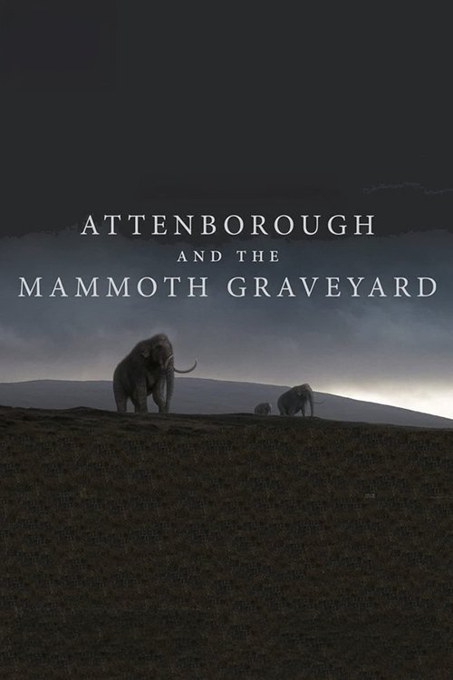 Attenborough and the Mammoth Graveyard (2021) poster