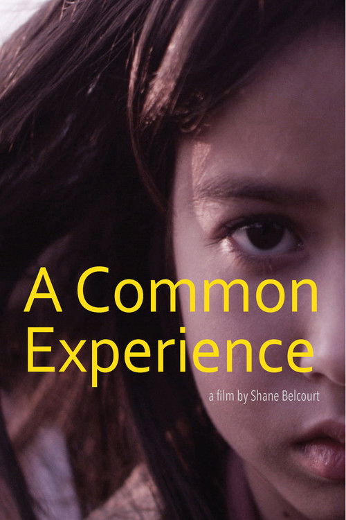 A Common Experience (2013) poster