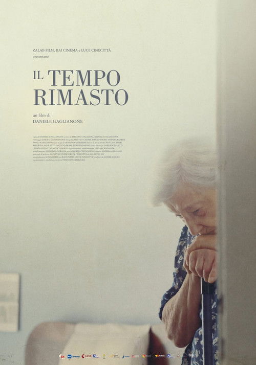 Il tempo rimasto (2021) poster