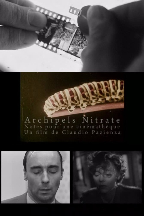 Archipels nitrate (2009) poster