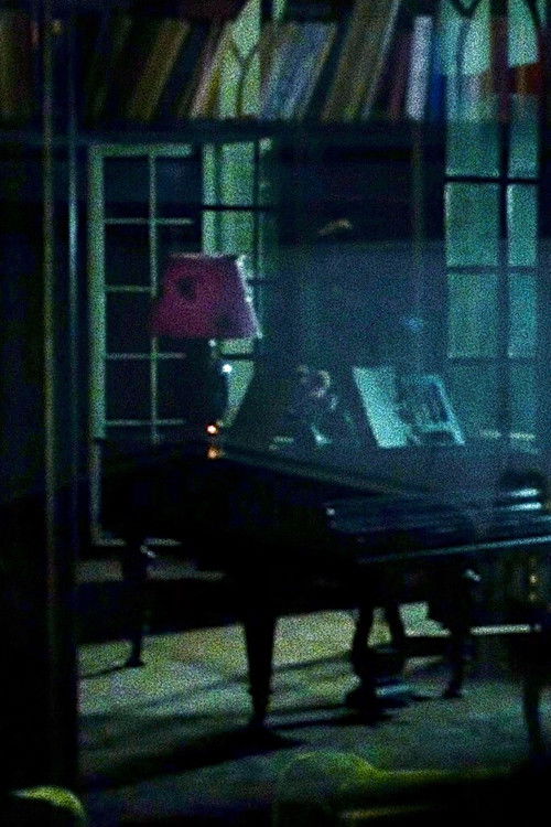 A House With Many Voices (2019) poster