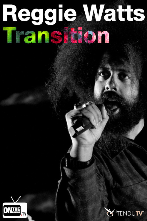 Transition (2013) poster