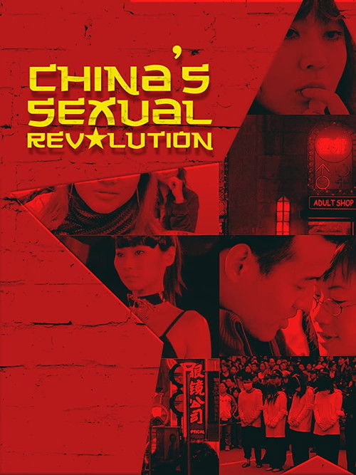 China's Sexual Revolution (2008) poster